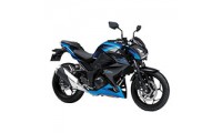 Carénage Kawasaki Z250/Z300 2015-2016