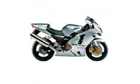 Carénage Kawasaki ZX12R 2002-2006