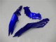 Carénages Moto Kawasaki Ninja 300 EX300R 2013-2024 - Bleu Noir Blanc Flamme