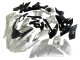 Carénages Moto Kawasaki Ninja H2 2015-2022 - Argent