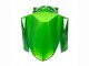 Carénages Moto Kawasaki Versys 650 2022-2025 - Vert Noir Brillant