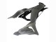 Carénages Moto Kawasaki ZX6R 2023-2025 - Gris Ninja