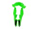 Carénages Moto Kawasaki EX300 2013-2024 - Vert Argent Noir
