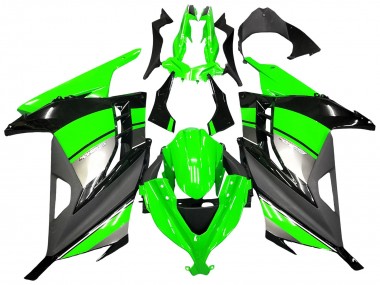 Carénages Moto Kawasaki EX300 2013-2024 - Vert Argent Noir