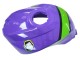 Carénages Moto Aprilia RS125 2006-2011 - Violet Vert Rouge