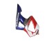 Carénages Moto Honda CBR900RR 929 2000-2001 - Argent Rouge Bleu