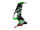 Carénages Moto Kawasaki ZX10R 2008-2010 - Vert Blanc Rouge Noir Monstre Elf 66