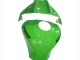 Carénages Moto Kawasaki ZX10R 2021-2025 - Vert Noir Brillant