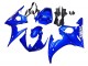 Carénages Moto Yamaha YZF R6S 2006-2009 - Bleu