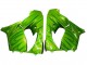 Carénages Moto Kawasaki ZX9R 2000-2001 - Vert Flamme