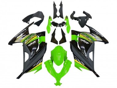 Carénages Moto Kawasaki EX300 2013-2024 - Vert Noir Argent Jaune