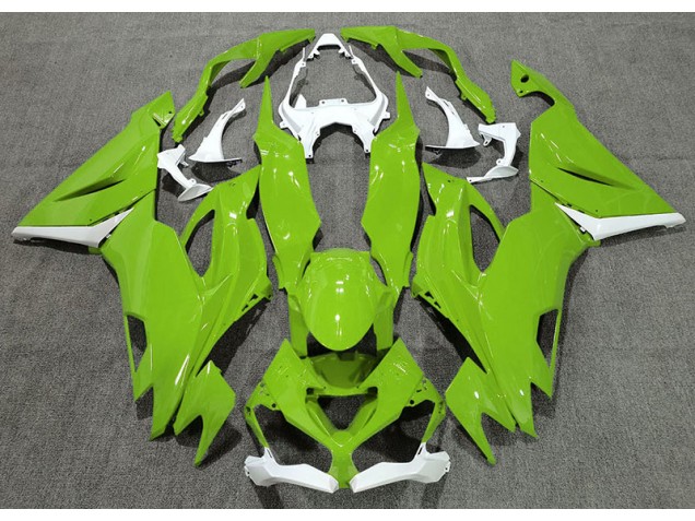 Vert Brillant & Blanc 2019-2023 Kawasaki ZX6R Carénage Moto Vert Brillant & Blanc 2019-2023 Kawasaki ZX6R Carénage Moto