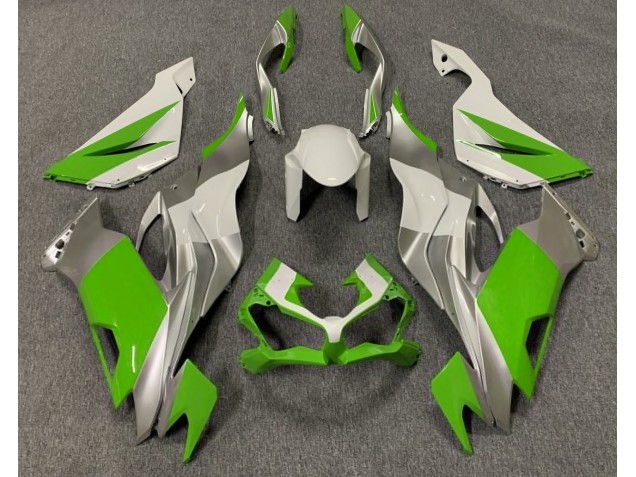 Vert Brillant Blanc & Argent 2019-2023 Kawasaki ZX6R Carénage Moto Vert Brillant Blanc & Argent 2019-2023 Kawasaki ZX6R Carénage Moto